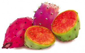 Cactus fruit